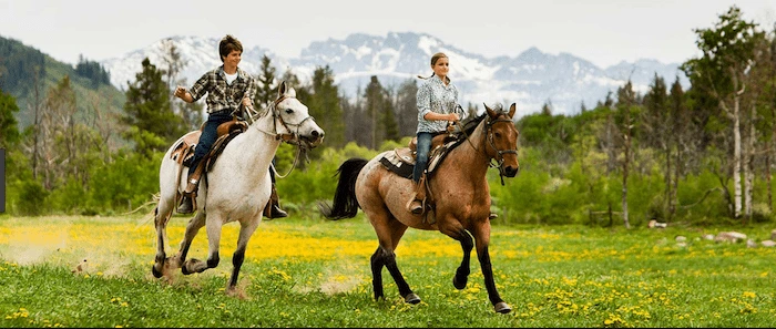 Confident plus-size woman riding Liberton a horse through a field with a smile on her face.